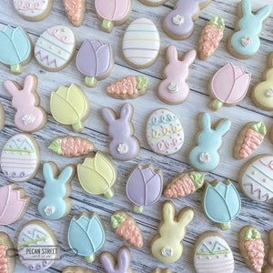 1 Dozen Easter/ Spring Sugar Cookies