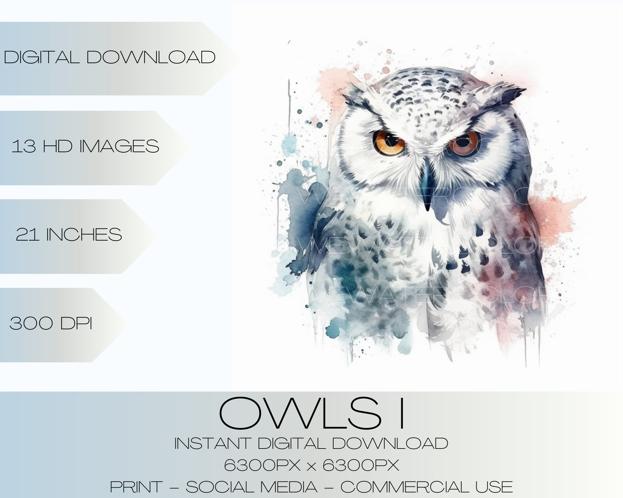 Owls I - Watercolor Style - Clip Art - Digital Art Download - 300 DPI - PNG - Commercial Use - AI ge