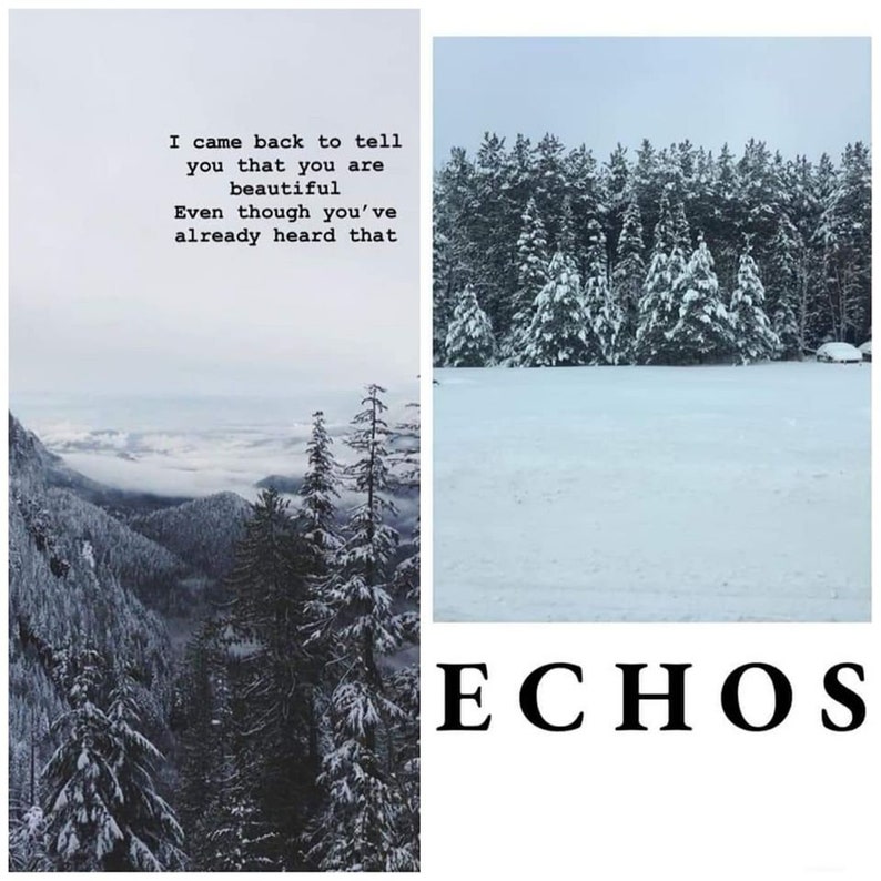 Pu&ograve; includere: Un paesaggio innevato con una foresta di pini sullo sfondo. Il testo "ECHOS" &egrave; scritto in lettere nere nella parte inferiore dell'immagine. Il testo "I came back to tell you that you are beautiful. Even though you've already heard that." &egrave; scritto in lettere nere sul lato sinistro dell'immagine.