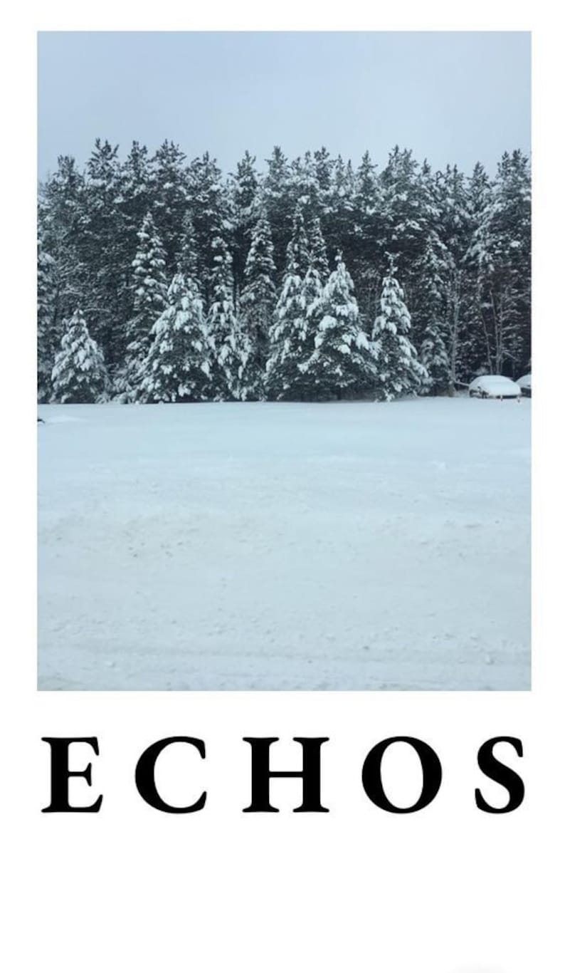 Pu&ograve; includere: Un paesaggio innevato con una fila di alberi sempreverdi sullo sfondo. Gli alberi sono coperti di neve e il terreno &egrave; ricoperto da uno spesso strato di neve. La parola "ECHOS" &egrave; stampata in nero nella parte inferiore dell'immagine.