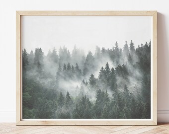 May include: A framed photograph of a misty forest scene with tall, dark green trees. The fog creates a soft, ethereal atmosphere.