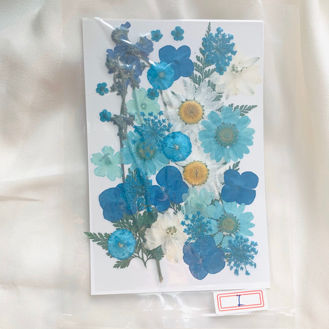 Fiori Secchi Naturali Per Resina - Set 12 Tipi, Per Decorazioni Fai Da Te, Bianco - Foto 9