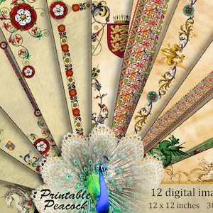 Manoscritto miniato, Rosa Tudor, Carta drago araldico, Carta digitale medievale, Carta pergamena reale, Bordi rinascimentali