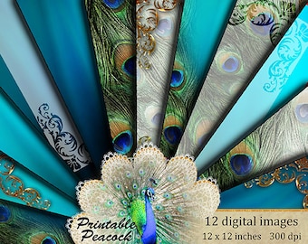 Peacock Feather Digital Paper: Teal Scrapbook Designs (Digital Download)