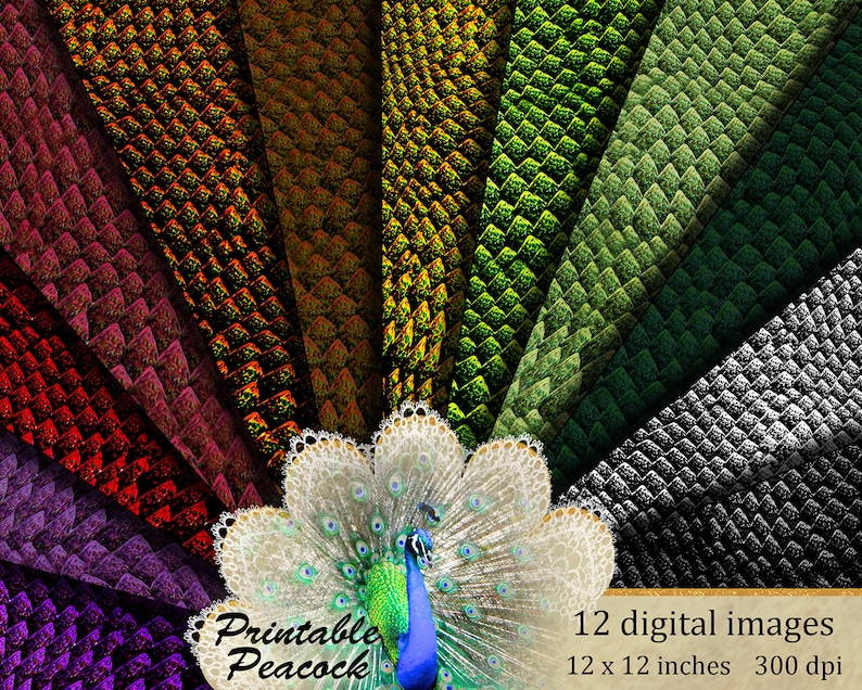 May include: A digital art print featuring twelve 12 x 12 inch images with a reptile scale pattern in various colors, including red, orange, green, and black. A peacock illustration is in the foreground with the text "Printable Peacock".