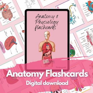 Anatomy and physiology flashcards digital download for student nurses, student midwifes, and student paramedics