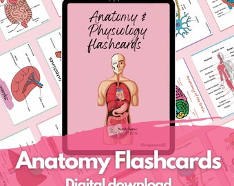 Anatomy and physiology flashcards digital download for student nurses, student midwifes, and student paramedics