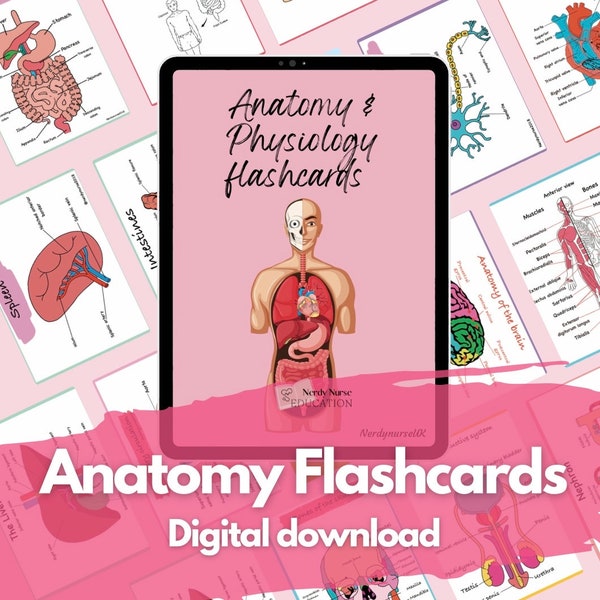 Anatomy and physiology flashcards digital download for student nurses, student midwifes, and student paramedics