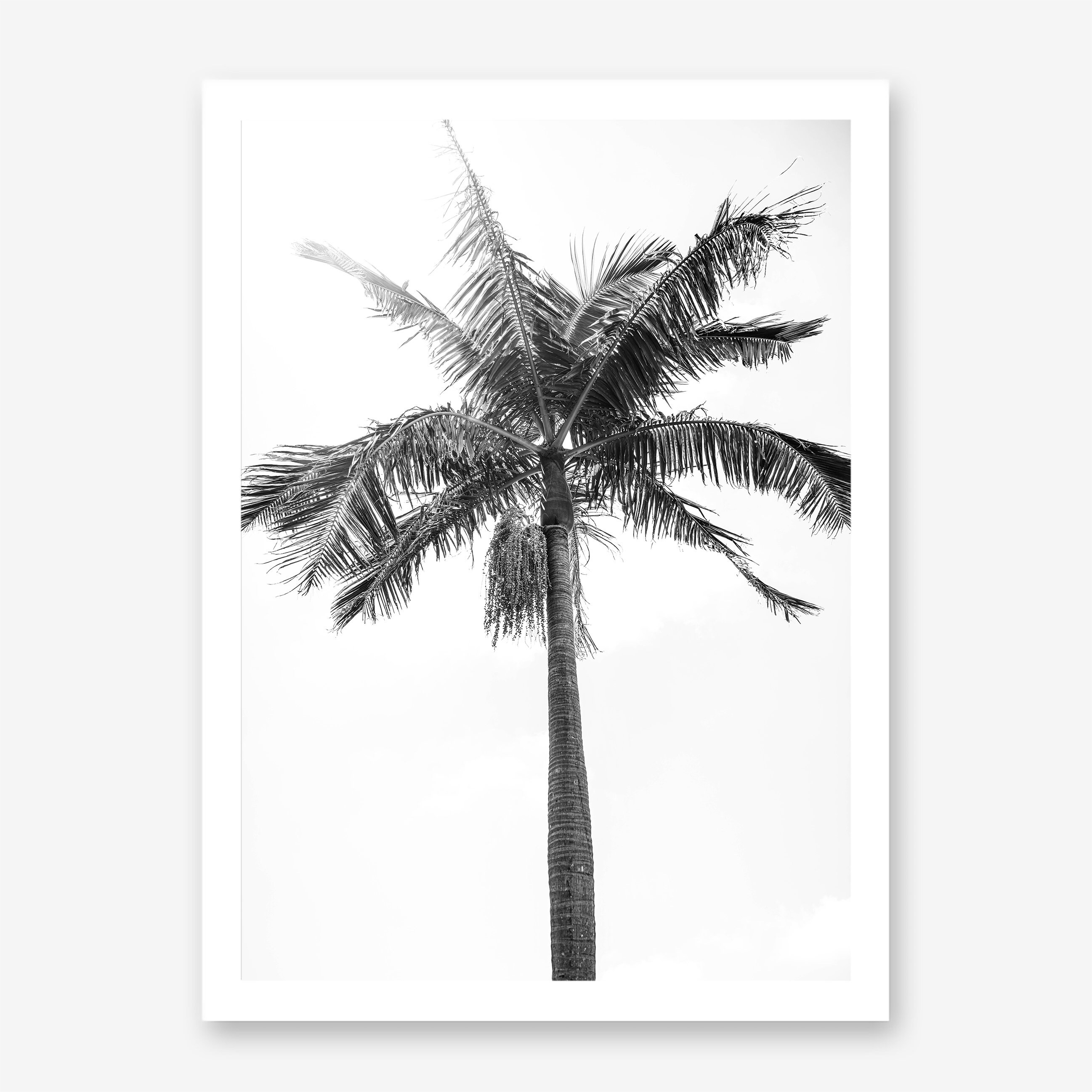 Palm Tree Poster Print Palm Tree Wall Art Palm Tree Art Etsy