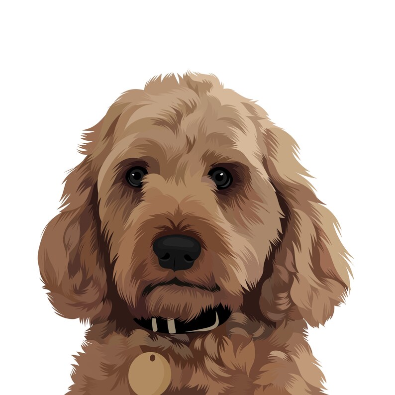 Turn Your Pet Into a Cartoon Cartoonise Your Dog or Cat Pet - Etsy