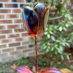 Everlasting Copper Tulip | Long Stem w/Hardwood Base| Hand-Formed Details | Iridescent Flame Patina