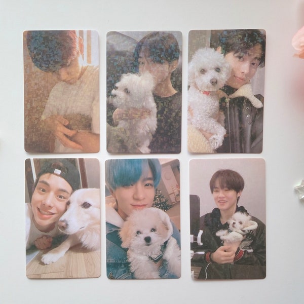 Cute ENHYPEN NCT Dream Tomorrow By Together TXT Pet Holographic Laminated Photocards | Unofficial Fanmade Daegal Gaeul Odi Maeum Layla