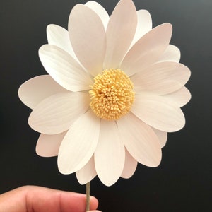 Modello di fiore di carta margherita, fiore di carta per progetti fai da te PDF, SVG, PNG Modello di Silhouette Cricut, fiori Shadow Box, piccolo fiore di carta