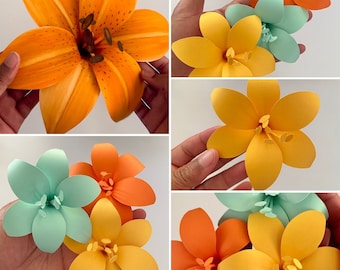 Small Paper Lily Template: DIY Shadow Box Flowers (SVG, PNG, STUDIO3)