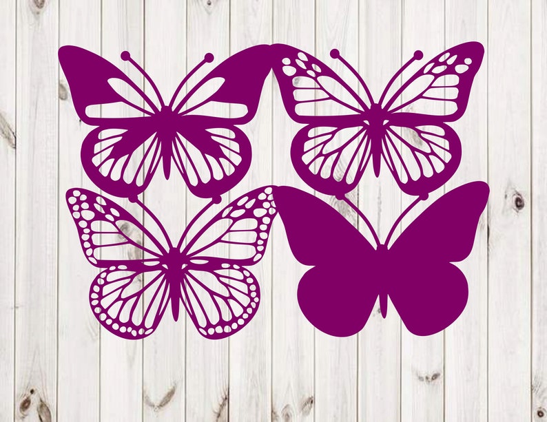 free-butterfly-svg-for-cricut-designs