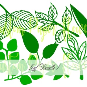 Ensemble de 7 modèles de feuilles de fleurs en papier, PNG et PDF pour grandes fleurs en papier, fichier de traçage et de découpe - feuilles de papier géantes découpées à la machine