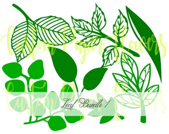 Paper Flower Leaf Templates: PNG & PDF Trace and Cut Files