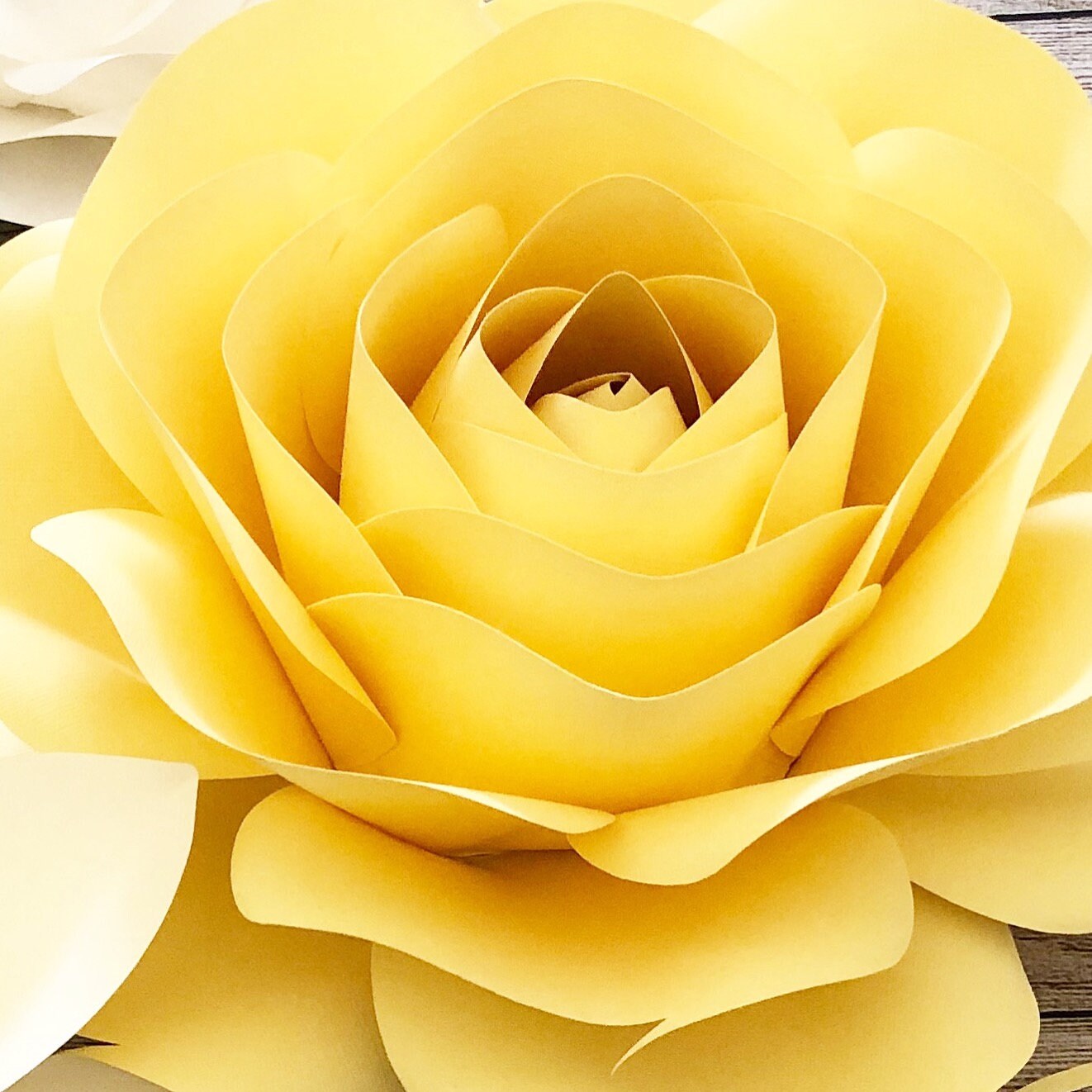 SVG PNG &amp; Pdf Paper Rose Template DIY Paper Flowers for - Etsy