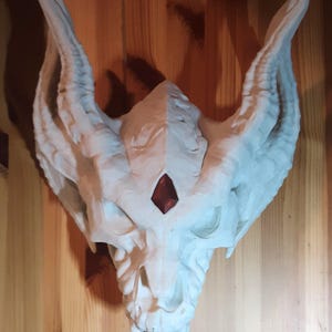 Silver Dragon Skull