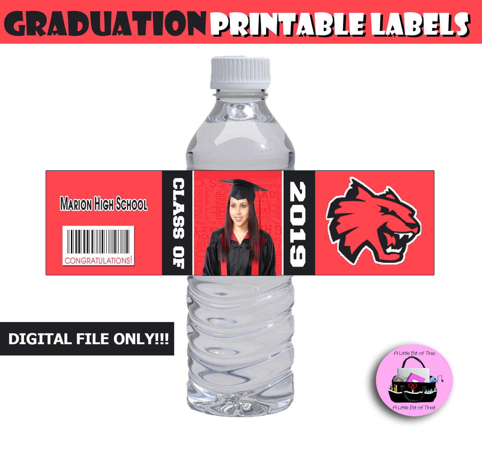 Graduation Party Favor Package Class of 2024 Party Favors DIY