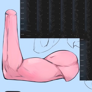 Puede incluir: Una ilustraci&oacute;n digital de un brazo femenino con un b&iacute;ceps flexionado. El brazo es rosa y tiene un fondo azul claro. La imagen est&aacute; etiquetada como "69 Brazos Femeninos".