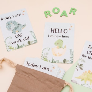 Cartes bébé étape importante - Dinosaure
