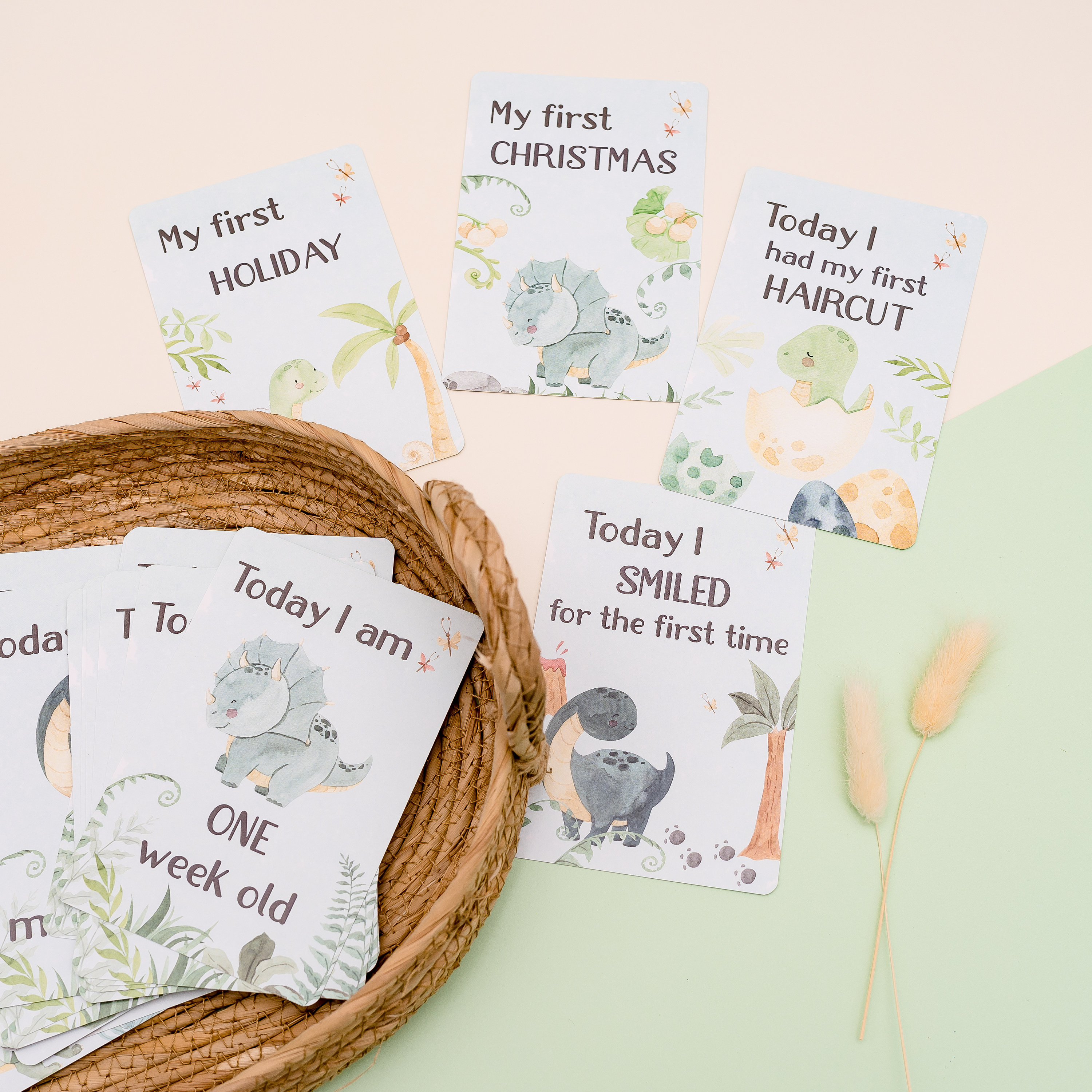 Baby Milestone Cards - Dinosaur - Etsy
