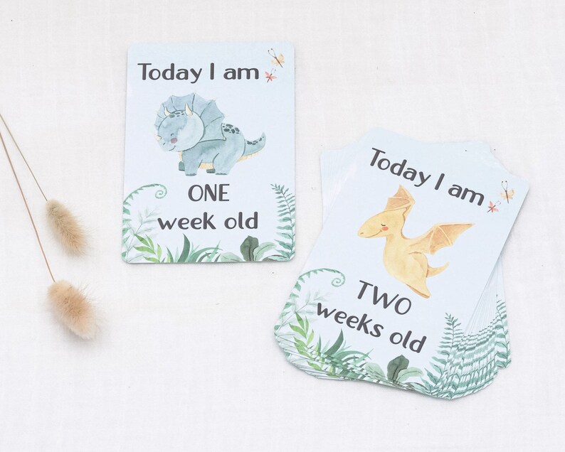 Baby Milestone Cards - Dinosaur - Etsy