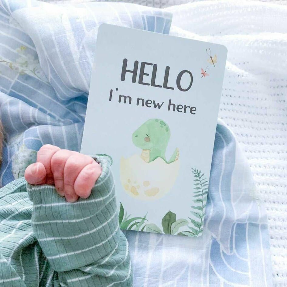 Baby Milestone Cards - Dinosaur - Etsy