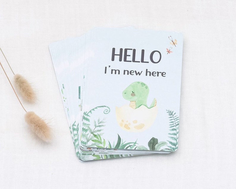 Baby Milestone Cards - Dinosaur - Etsy