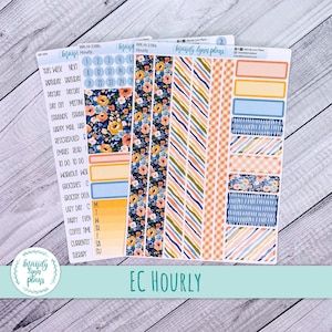 May include: Planner stickers with floral, striped, and patterned designs. The stickers include labels for daily tasks, appointments, and reminders. The color palette features blues, oranges, and yellows. The text "EC HOURLY" is visible.