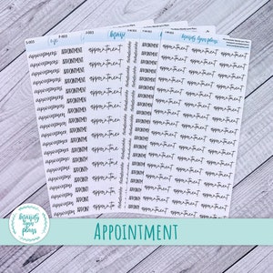 Appointment Script Stickers || Removable White Matte or Clear Matte Stickers || Hobonichi Cousin, Weeks, and A6 || Hand Lettered|| 003