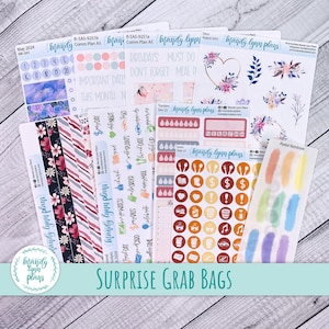 Surprise Grab Bag, Various Sized Planner Stickers
