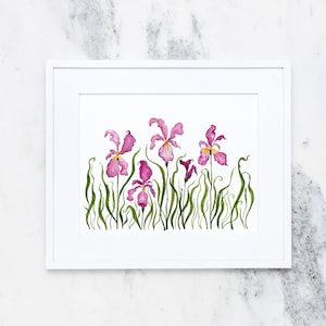 Vivid Magenta Iris Watercolor Print | Spring Pink Irises in Watercolor | Floral Home Decor | Watercolor Wall Art