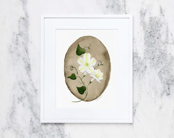 May include: Watercolor painting of white flowers with yellow centers and green leaves on a brown oval background, framed in white. The artwork is signed in the bottom right corner. The painting is displayed on a white marble surface.