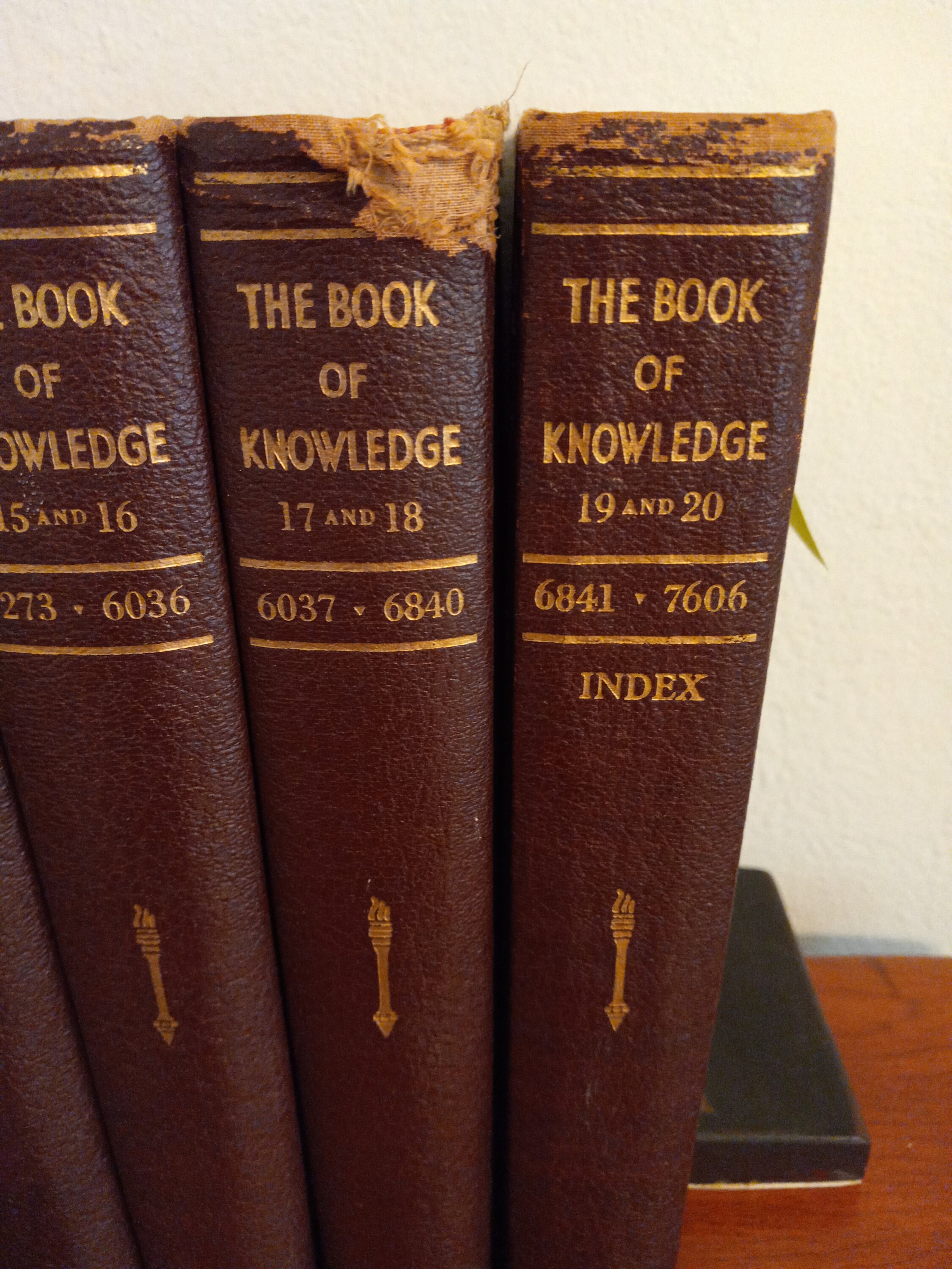 Vice Lord Book Of Knowledge - c17bcib