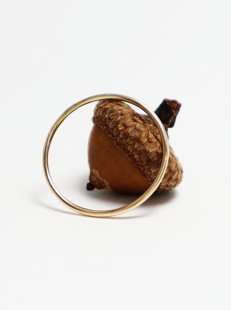 Peut inclure: Une bague en or entoure un gland brun avec un capuchon.
