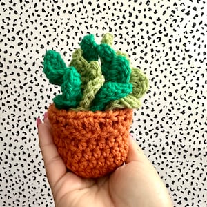 Monstera Plant Crochet Coaster Set with Pot
