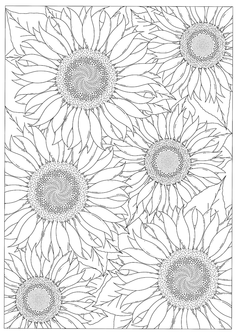 colouring-pages-coloring-pages-colouring-book-kids-etsy-uk