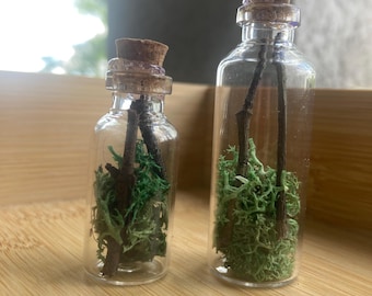 Mini-Terrarien