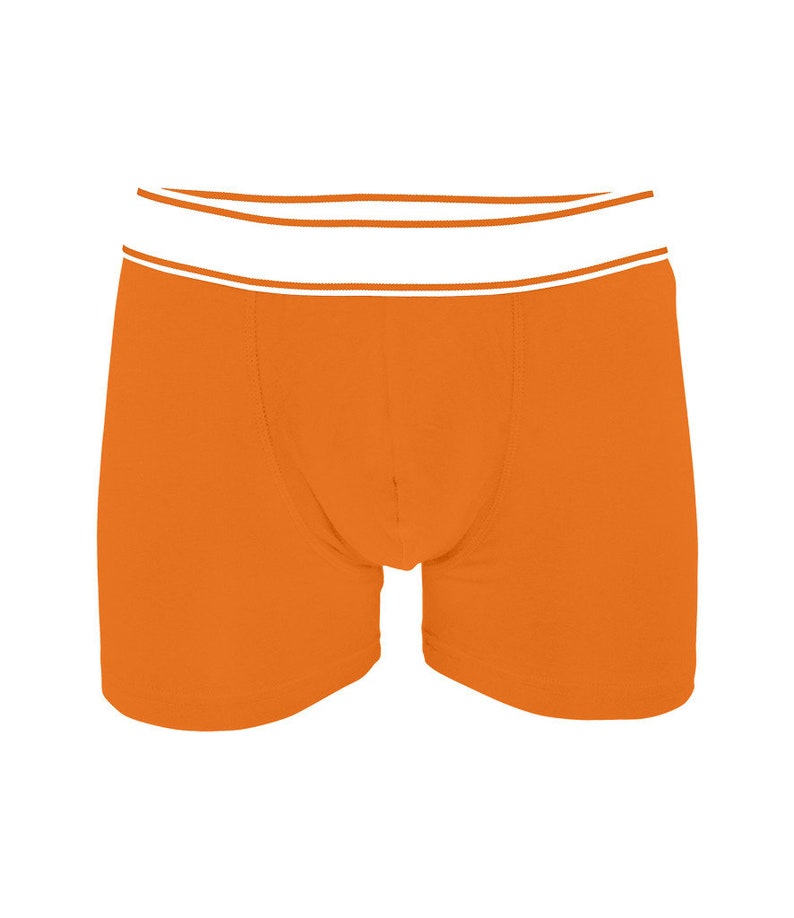 Genies Lamp Boxer Shorts Male Gift Naughty Underwear Valentine Gift for him Novelty Pants Guys Boxer Shorts Funny Gift Mens Underwear
