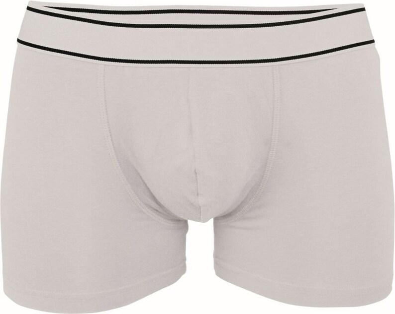 Genies Lamp Boxer Shorts Male Gift Naughty Underwear Valentine Gift for him Novelty Pants Guys Boxer Shorts Funny Gift Mens Underwear