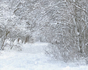 Runkersraith - Paysage d'hiver - Impression DigiArt d'après une œuvre de Runkersraith - 30 x 40 cm