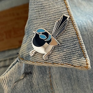 Broche soberbo Fairywren