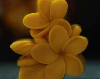 Stampo per sapone fatto a mano fai da te stampo per sapone freddo stampo in silicone stampo Gardenia trasformato in zucchero stampo in silicone fatto a mano