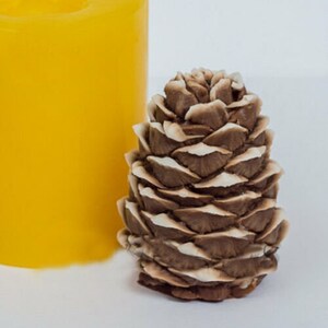 Peut inclure: Un moule à bougie en silicone en forme de pomme de pin détaillé en brun et blanc. Le moule est conçu pour créer une bougie en forme de pomme de pin réaliste.