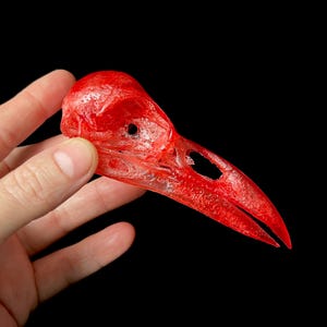 Transparent Red Raven Skull Replica: Life Size Resin Bird Skull