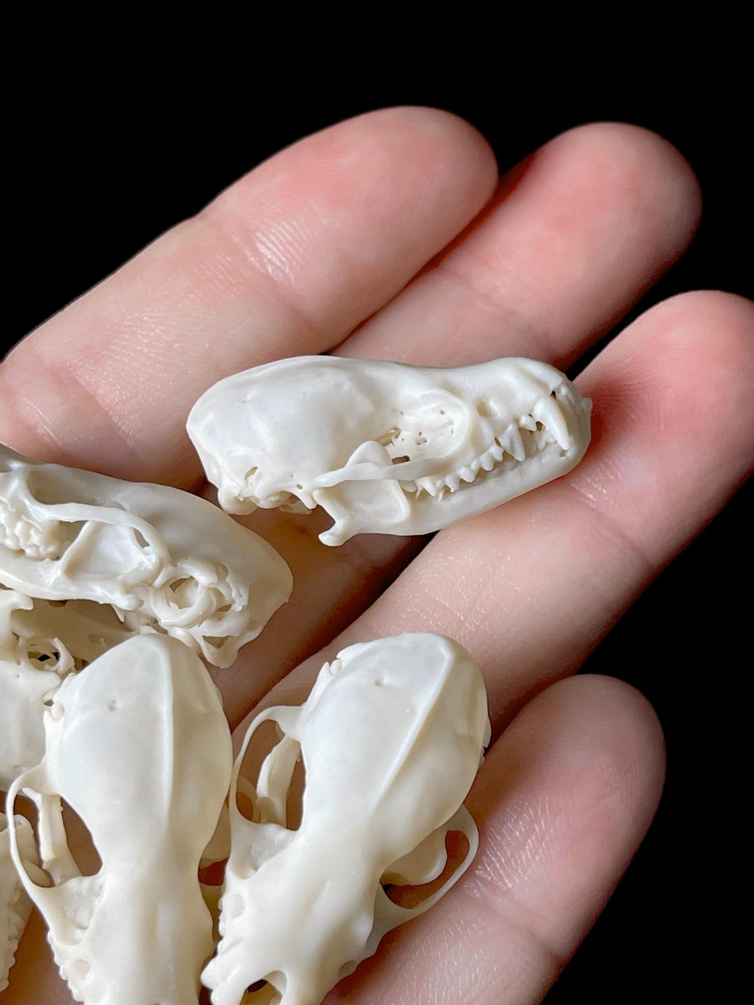 VALIEM 陶器鉢　MONSTER MOUSE ACT2 SKULL VALIEM 陶器鉢 MONSTER MOUSE ACT2 SKULL Little Monster Skull