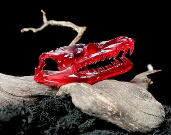 Transparent Red Python Skull Replica: 3.75" Resin Oddity