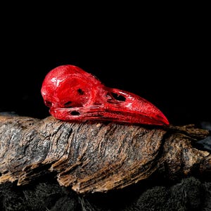 Transparent Red Raven Skull Replica: Museum Quality Resin Print